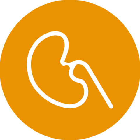 Nephrology